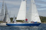 reindeer 4300c whyw24 sun 800 5323